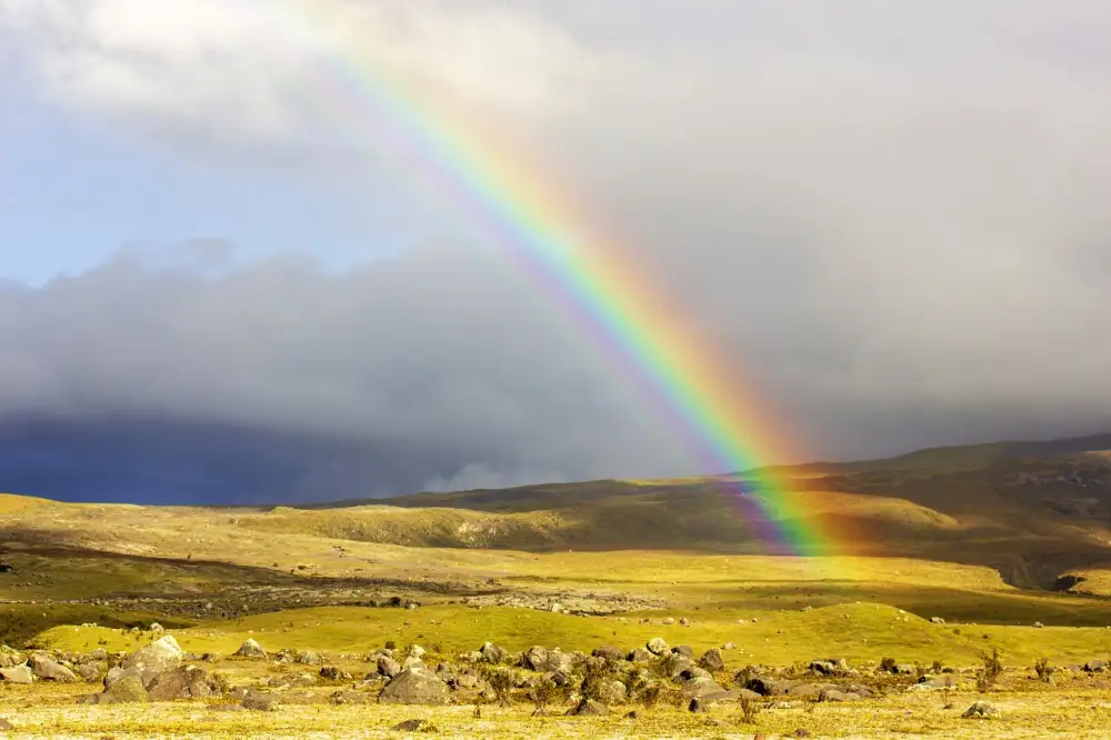 Panenka Rainbow